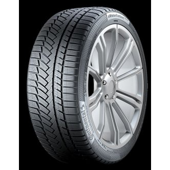 Continental WinterContact TS 850 P 225/50 R17 téligumi