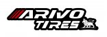 Arivo Winmaster ProX ARW 3 205/50 R16 téligumi