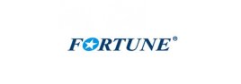 Fortune autógumi