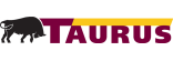 Taurus 401 185/55 R15 nyárigumi