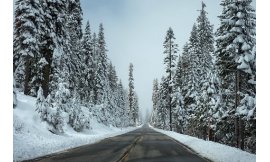 Winter Road