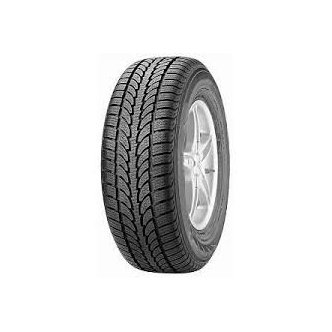 Infinity Ecosnow 205/55 R16 téligumi