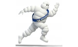 bibendum fut
