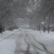Winter Street 1